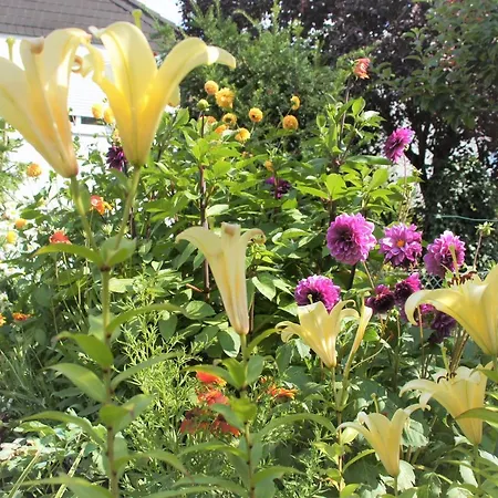 Apartment Hofmann Bad Kreuznach